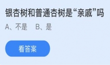 银杏树和普通杏树是“亲戚”吗？蚂蚁庄园11.19小鸡课堂答案来了